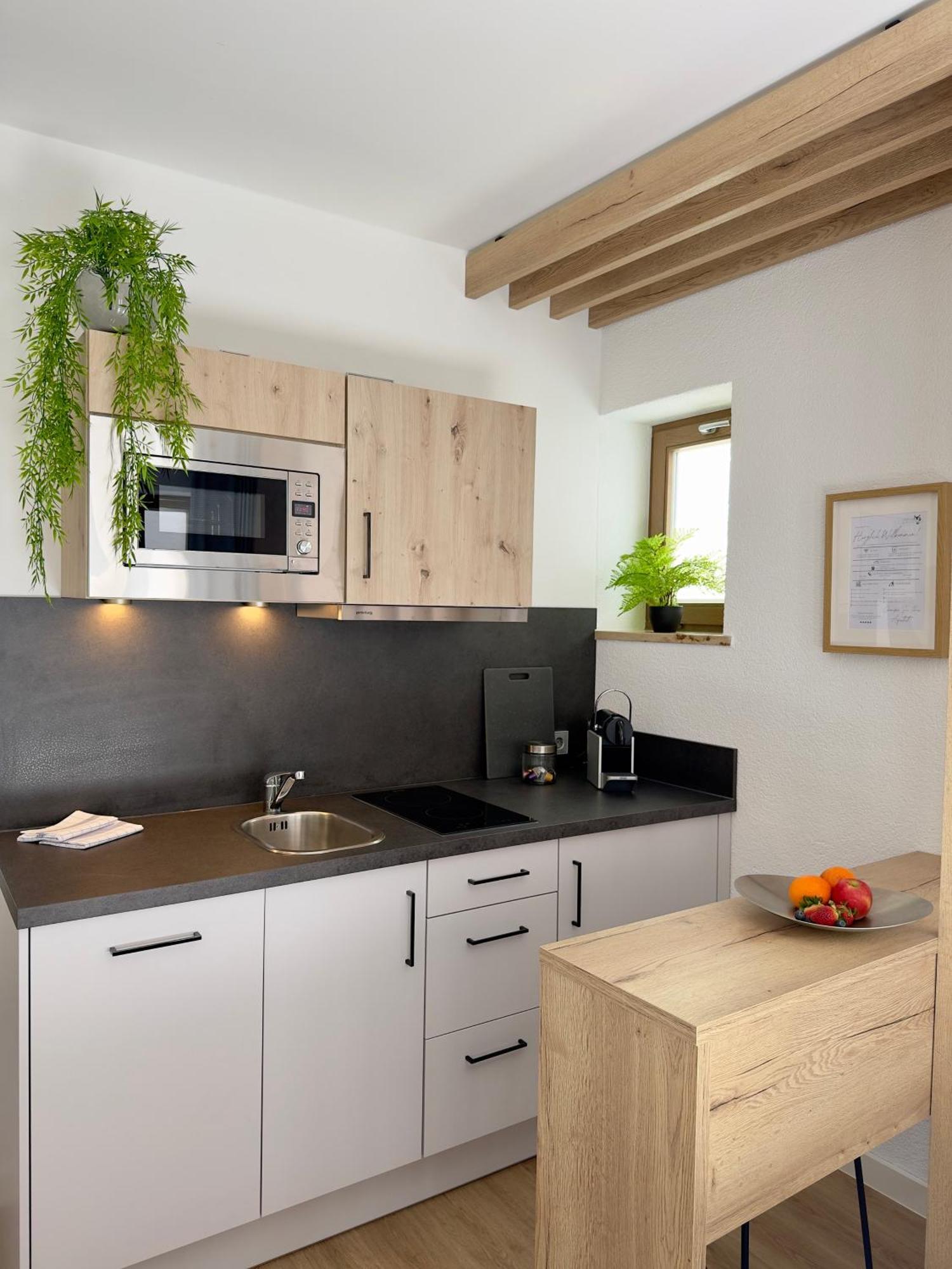 Living & Serviced Apartments By Blauer Wolf Gunzenhausen Bagian luar foto