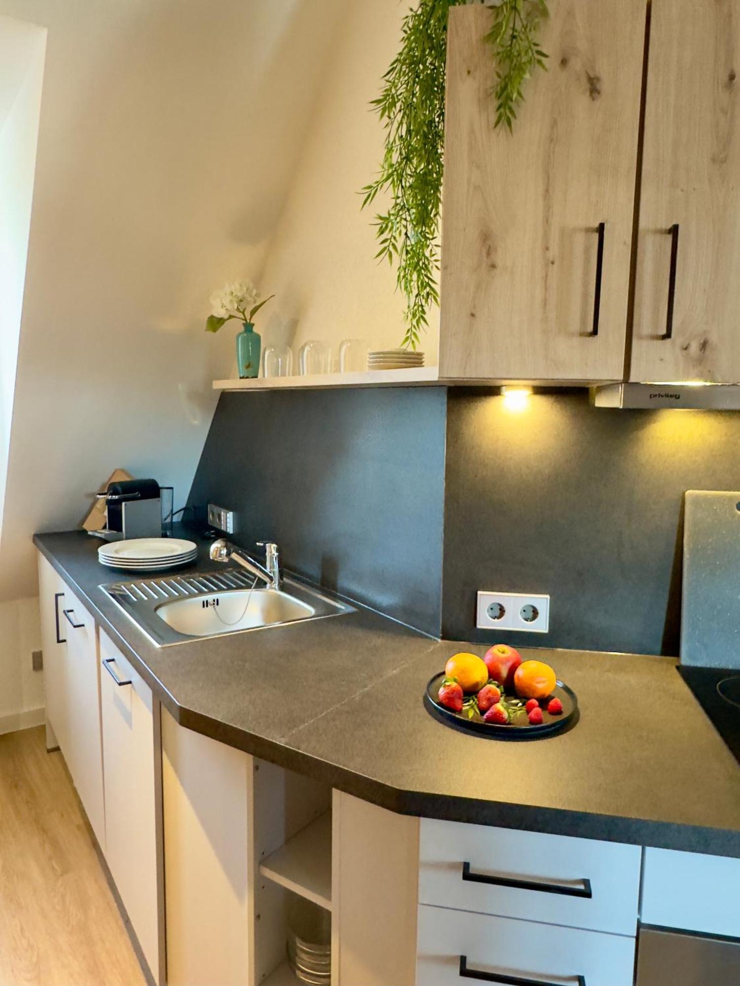 Living & Serviced Apartments By Blauer Wolf Gunzenhausen Bagian luar foto