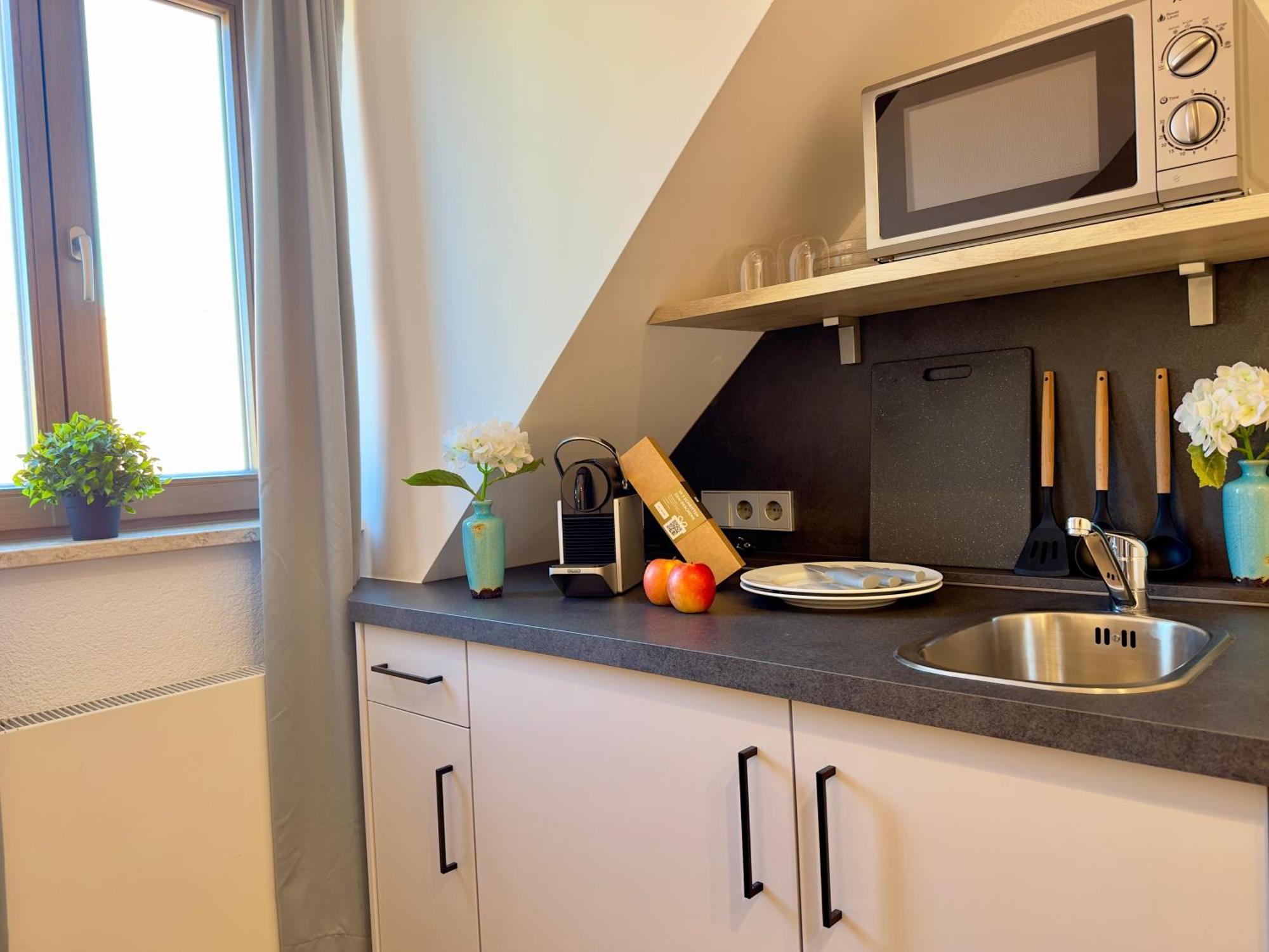 Living & Serviced Apartments By Blauer Wolf Gunzenhausen Bagian luar foto